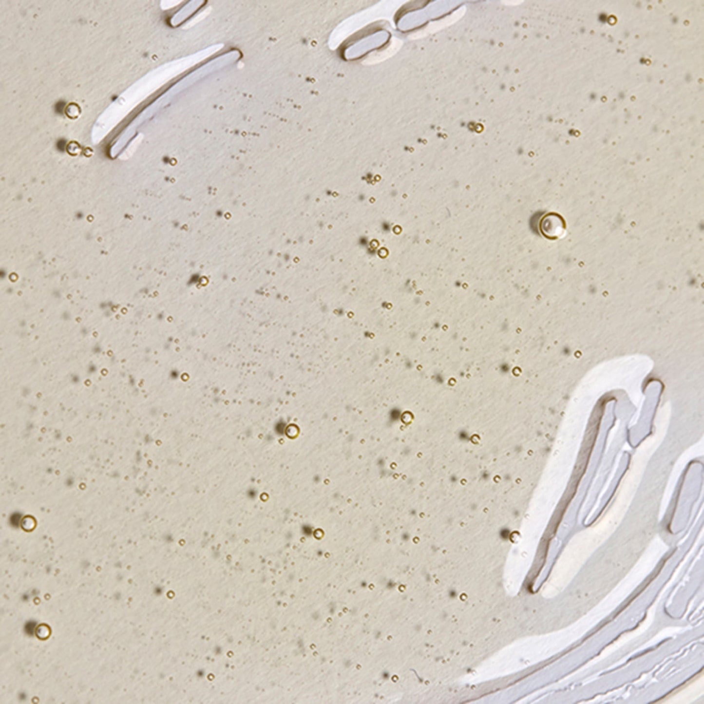 Biopoint Solaire Spray on Oil