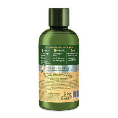 Naturals by Watsons Argan Shampoo