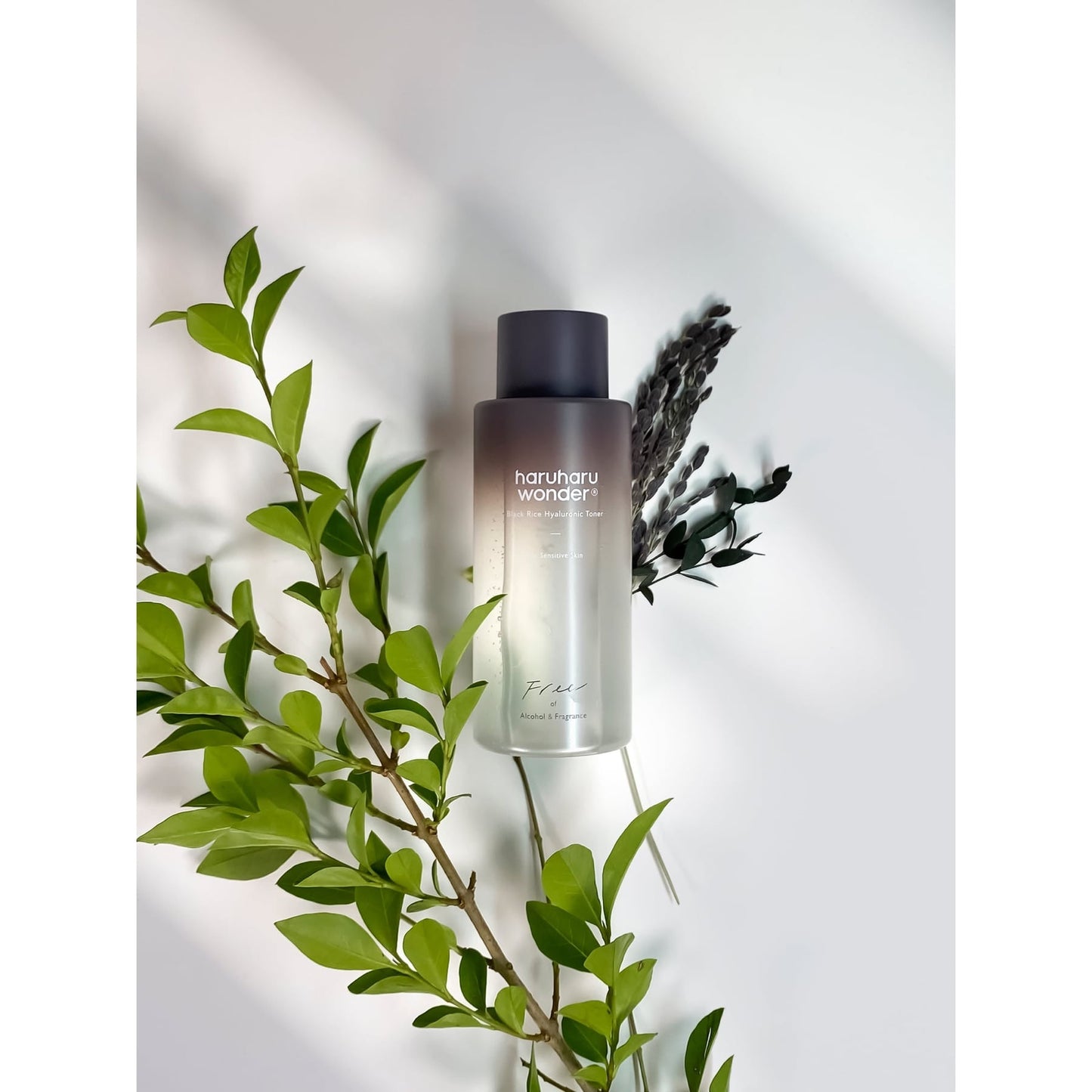 Haruharu Wonder Black Rice Hyaluronic Toner Fragrance-Free 150ml