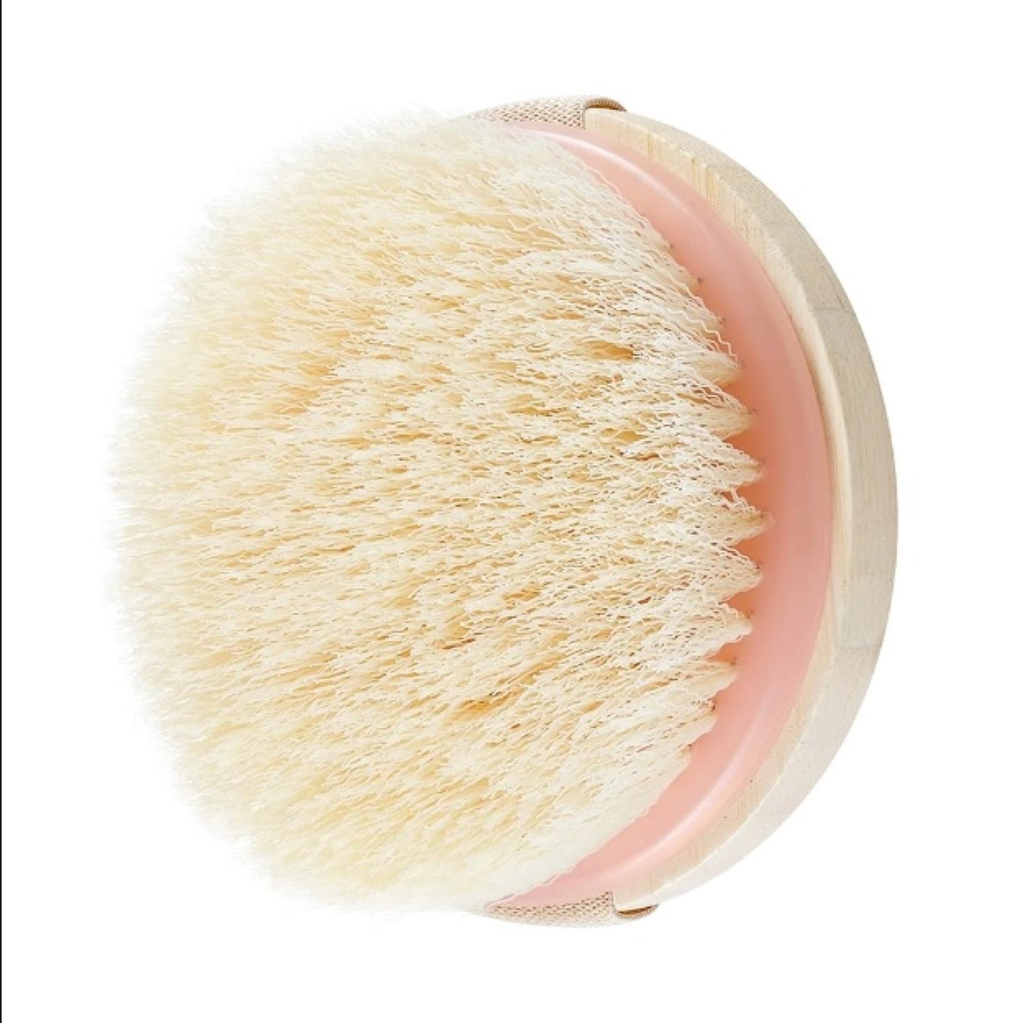 EcoTools Dry Body Brush 1pc