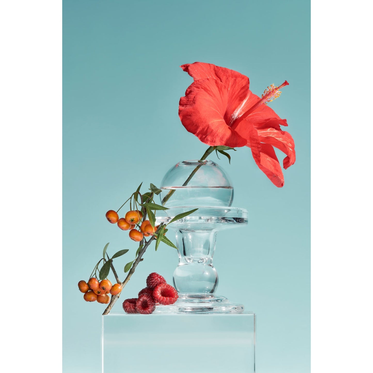 Tocobo Vita Berry Pore Toner