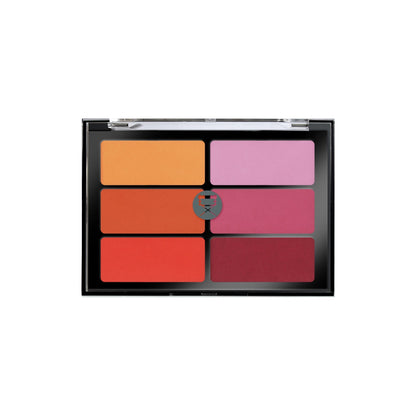 Viseart 6 Color Blush Palette