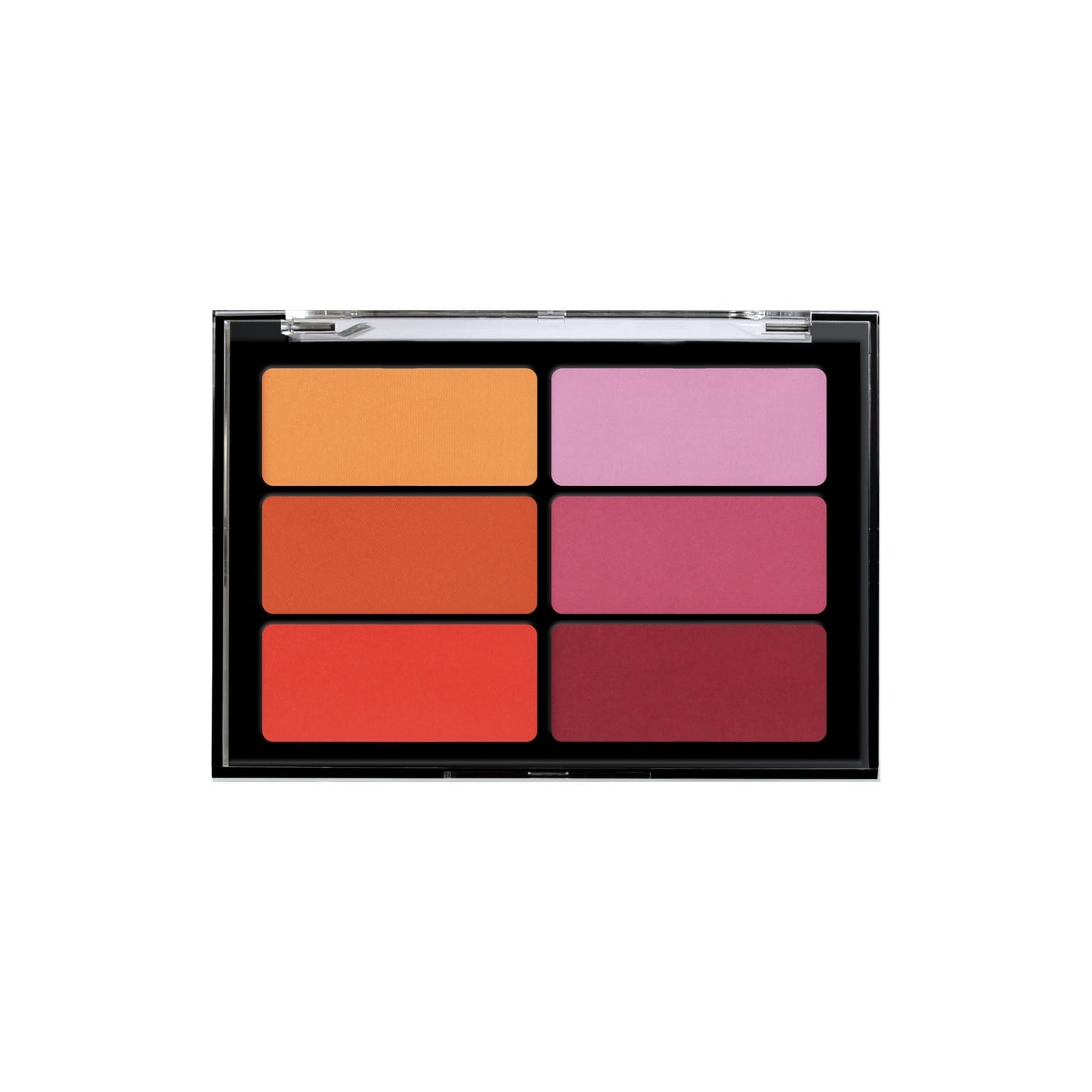 Viseart 6 Color Blush Palette