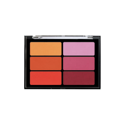 Viseart 6 Color Blush Palette