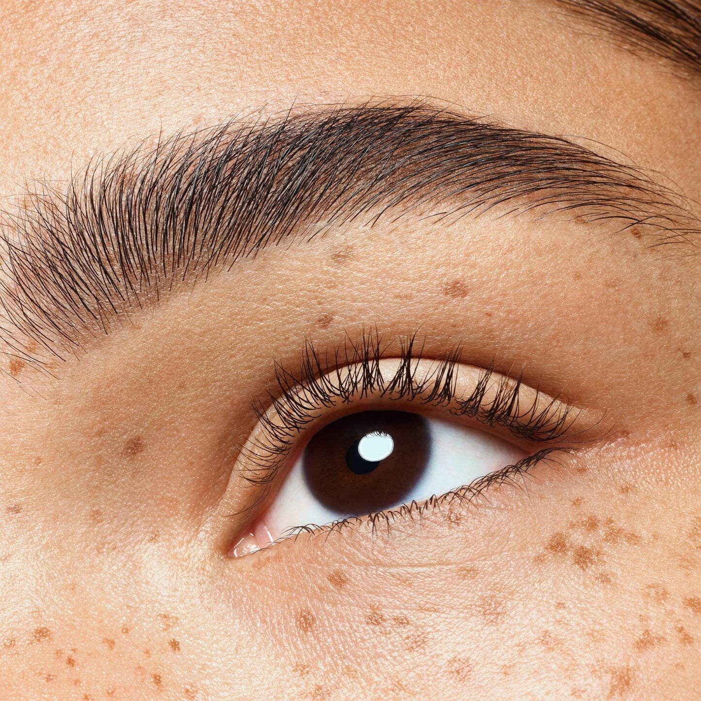 Essence Brow Powder Duo Set