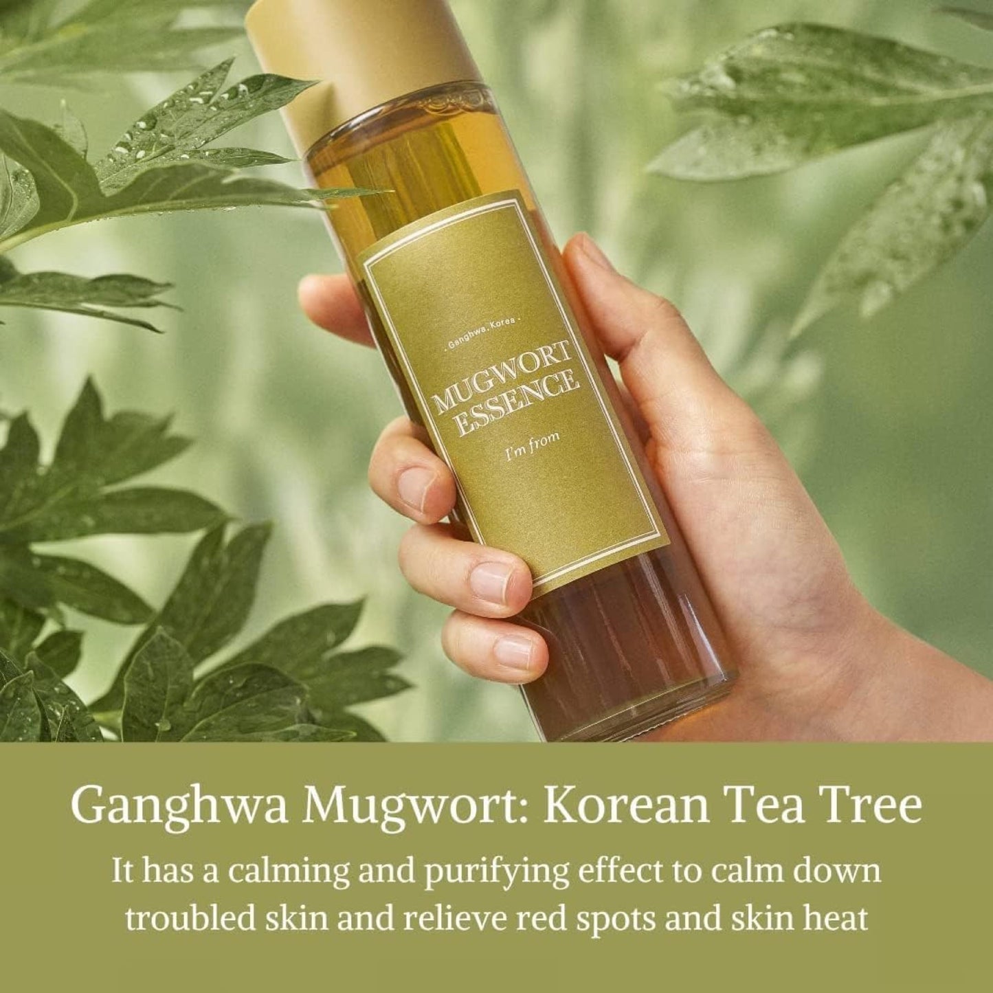 I'm From Mugwort Essence