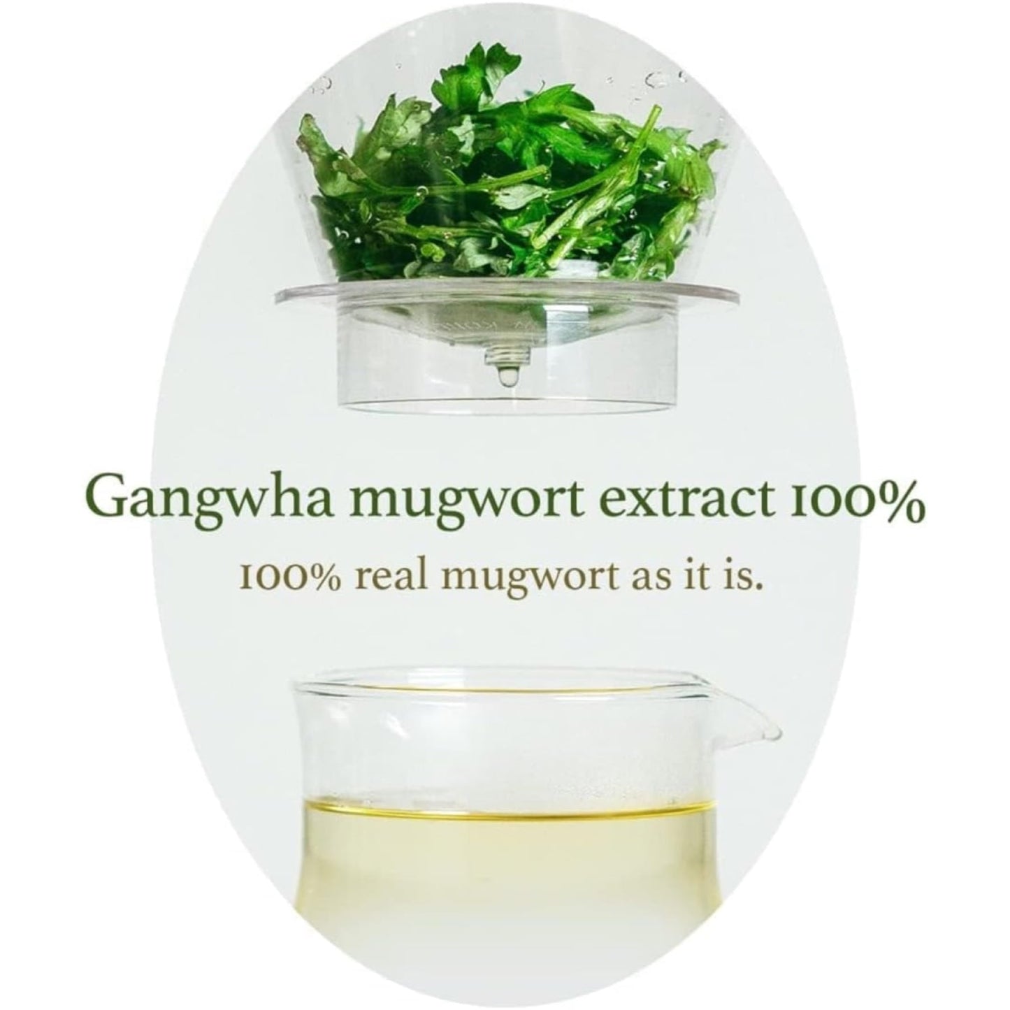 I'm From Mugwort Essence