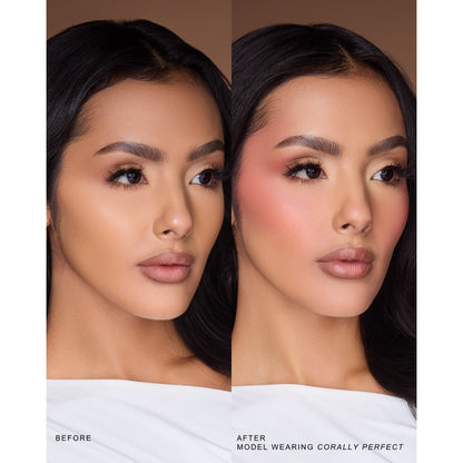 Beauty Creations Blush Stick