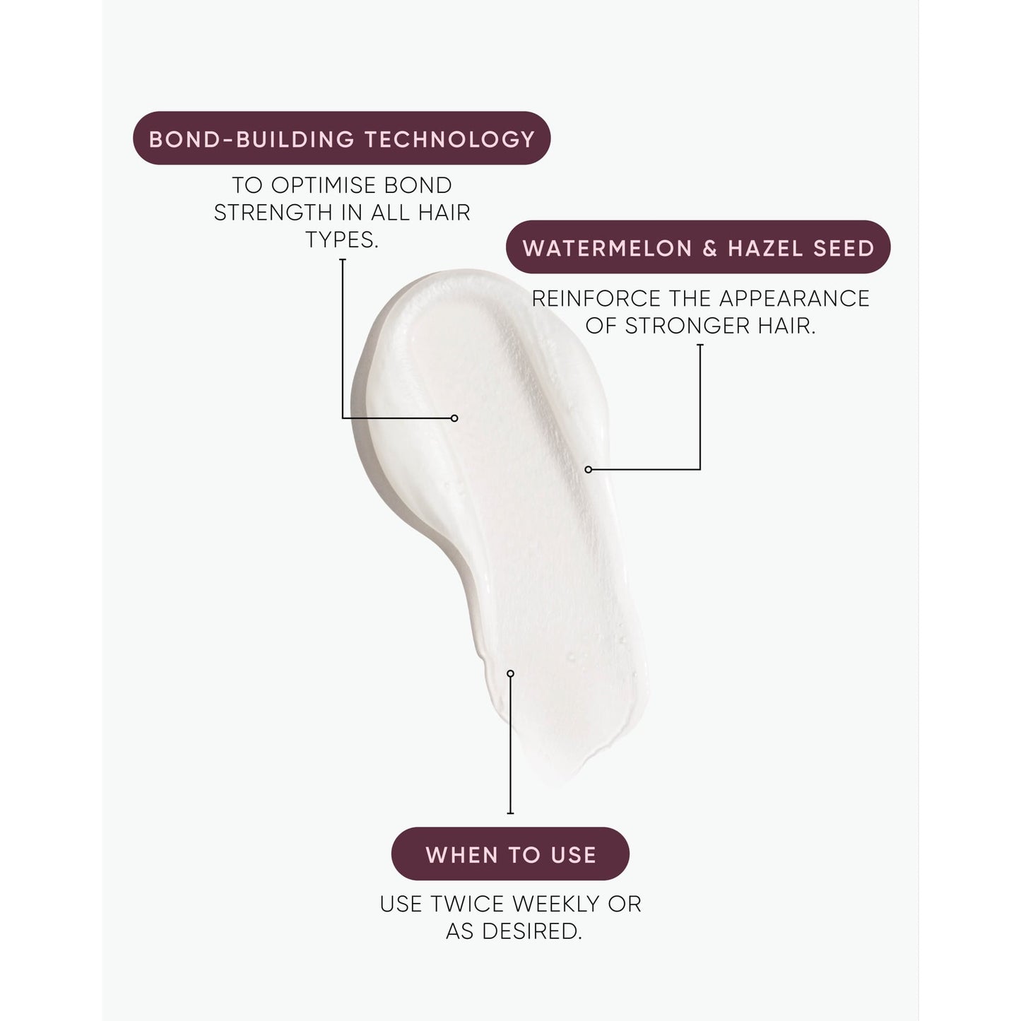 Nak Hair Signature Structure Condition 350ml