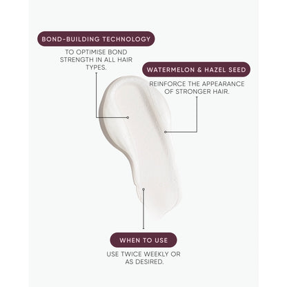 Nak Hair Signature Structure Condition 350ml