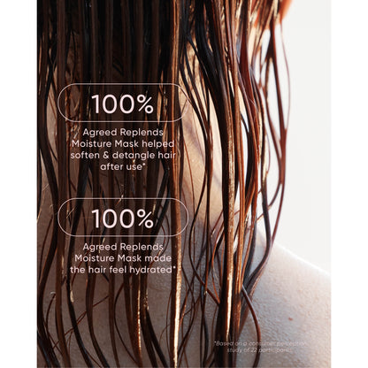 Nak Hair Signature Holiday Nourish Travel Trio 2025