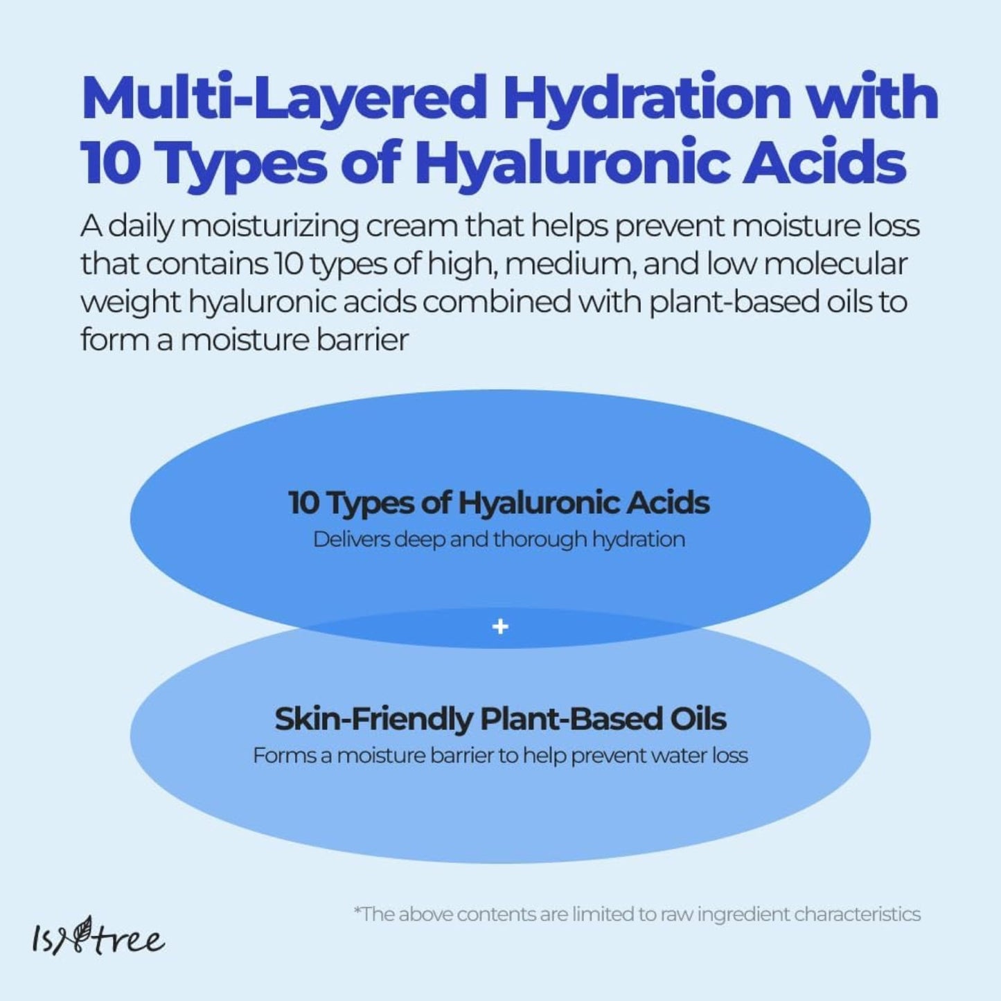 Isntree Hyaluronic Acid Moist Cream 100ml