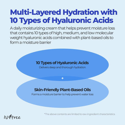 Isntree Hyaluronic Acid Moist Cream 100ml