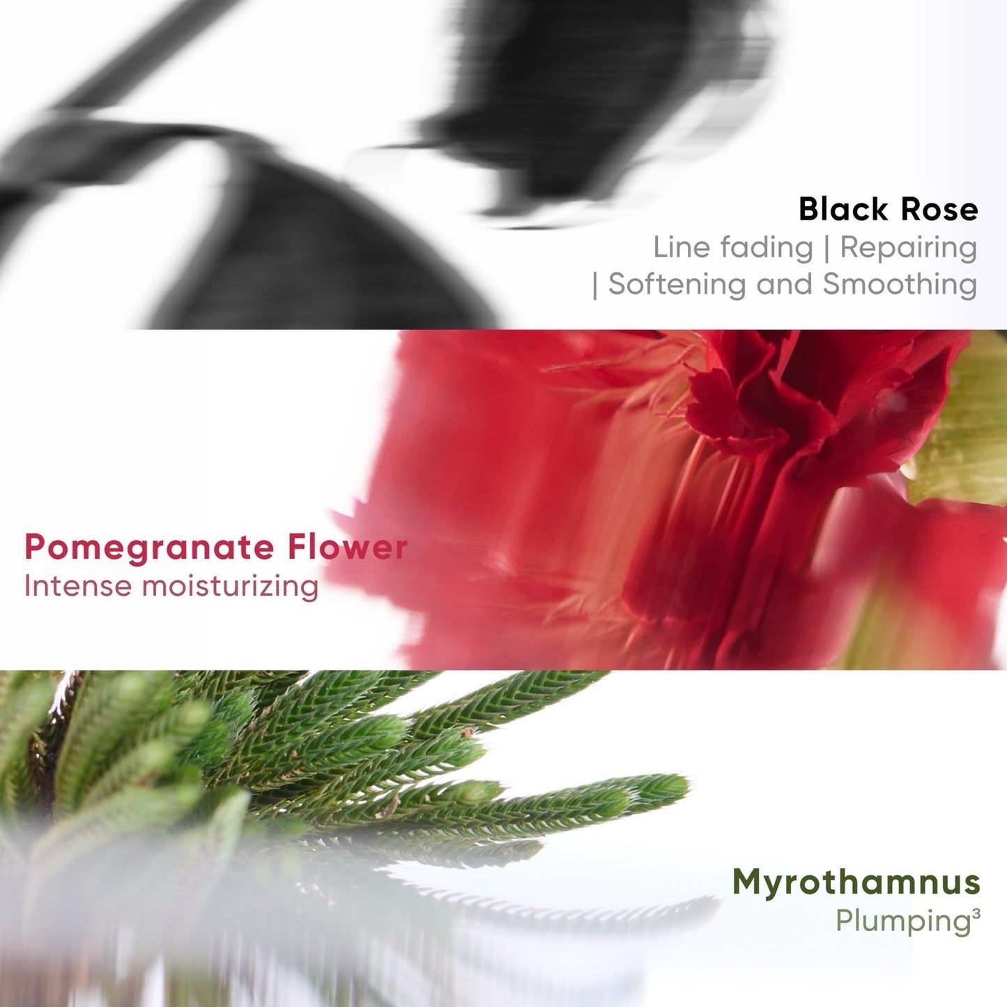 Judydoll Watery Essence Lip Glaze