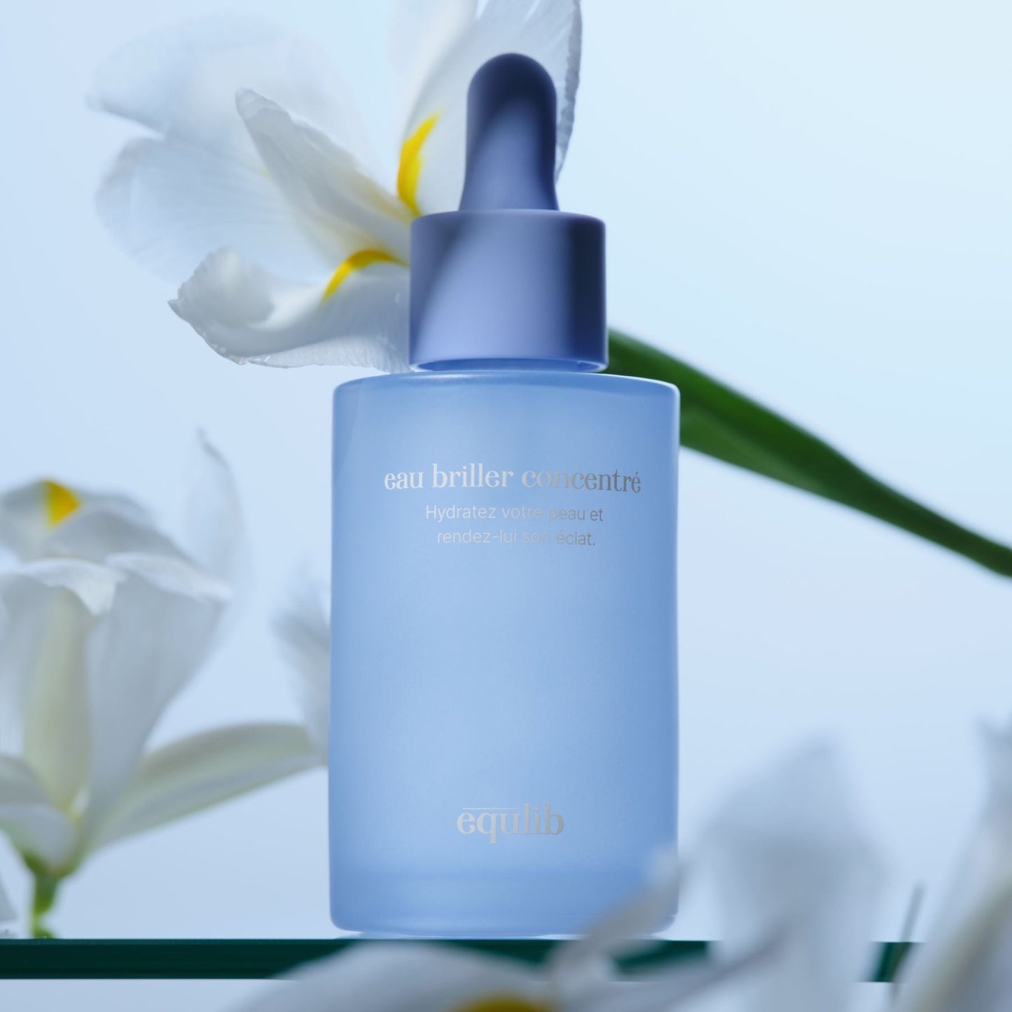 Equilib Eau Briller Concentrate 50ml