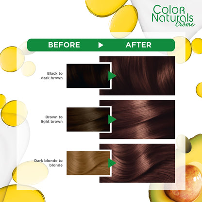 Garnier Colour Naturals Permanent Hair Colour 60ml