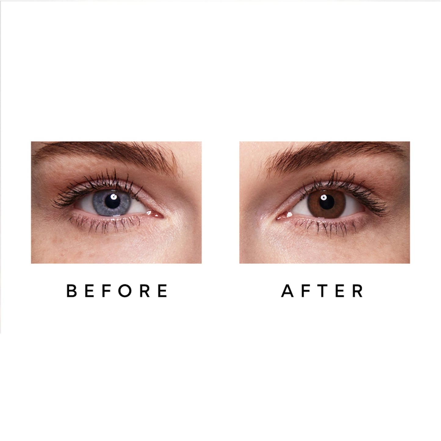 Colour Contact Lenses 6 Months Bronze