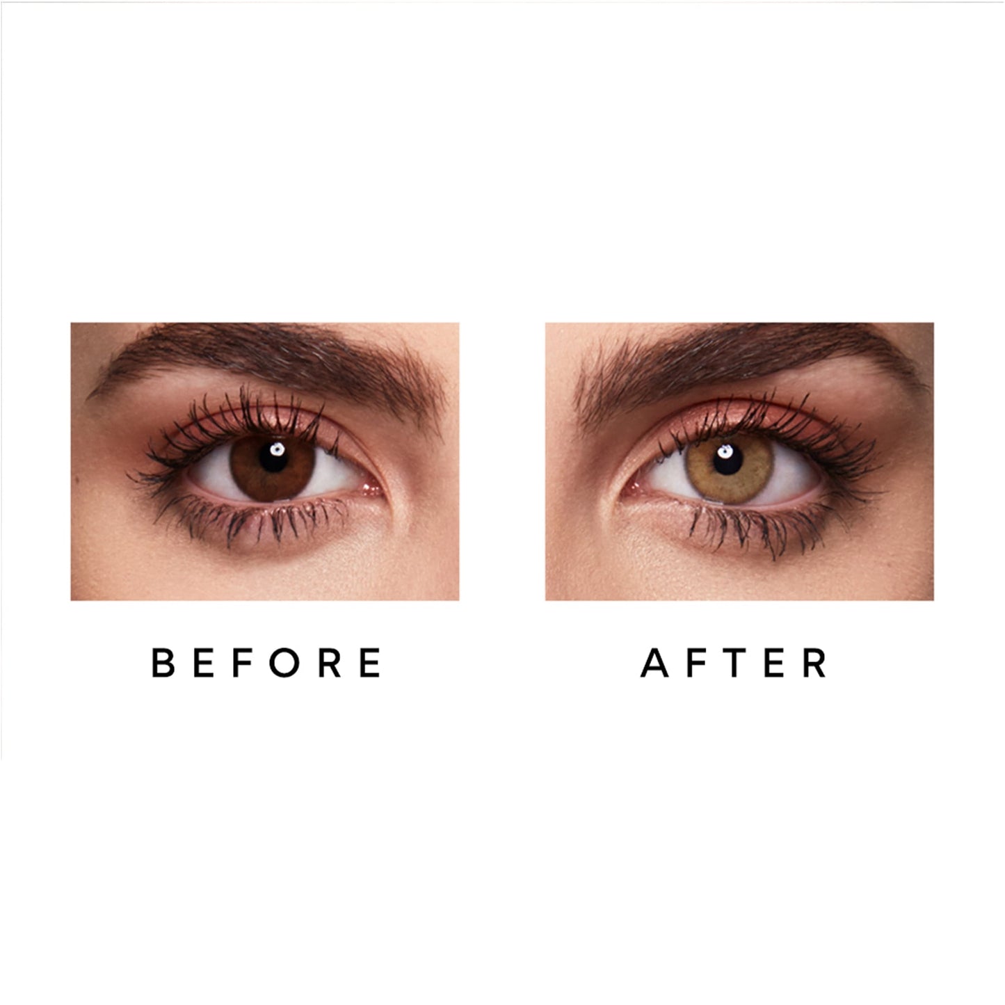 Colour Contact Lenses 1 Month Honey|Pack of 2