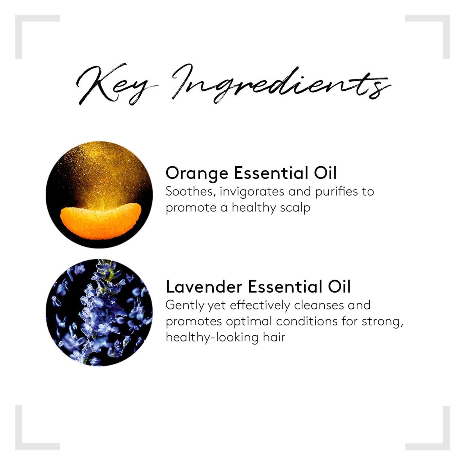 Head Spa Complex 5 Stimulating Concentrate 50ml 50ml