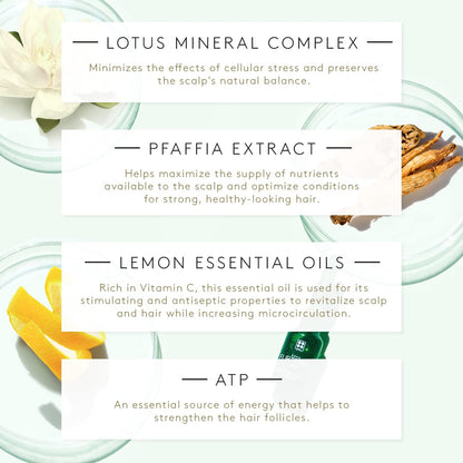 Triphasic Reactional Ritual Anti-Hair Loss Reactional Treatment 12 Ampoule 12 Ampoule