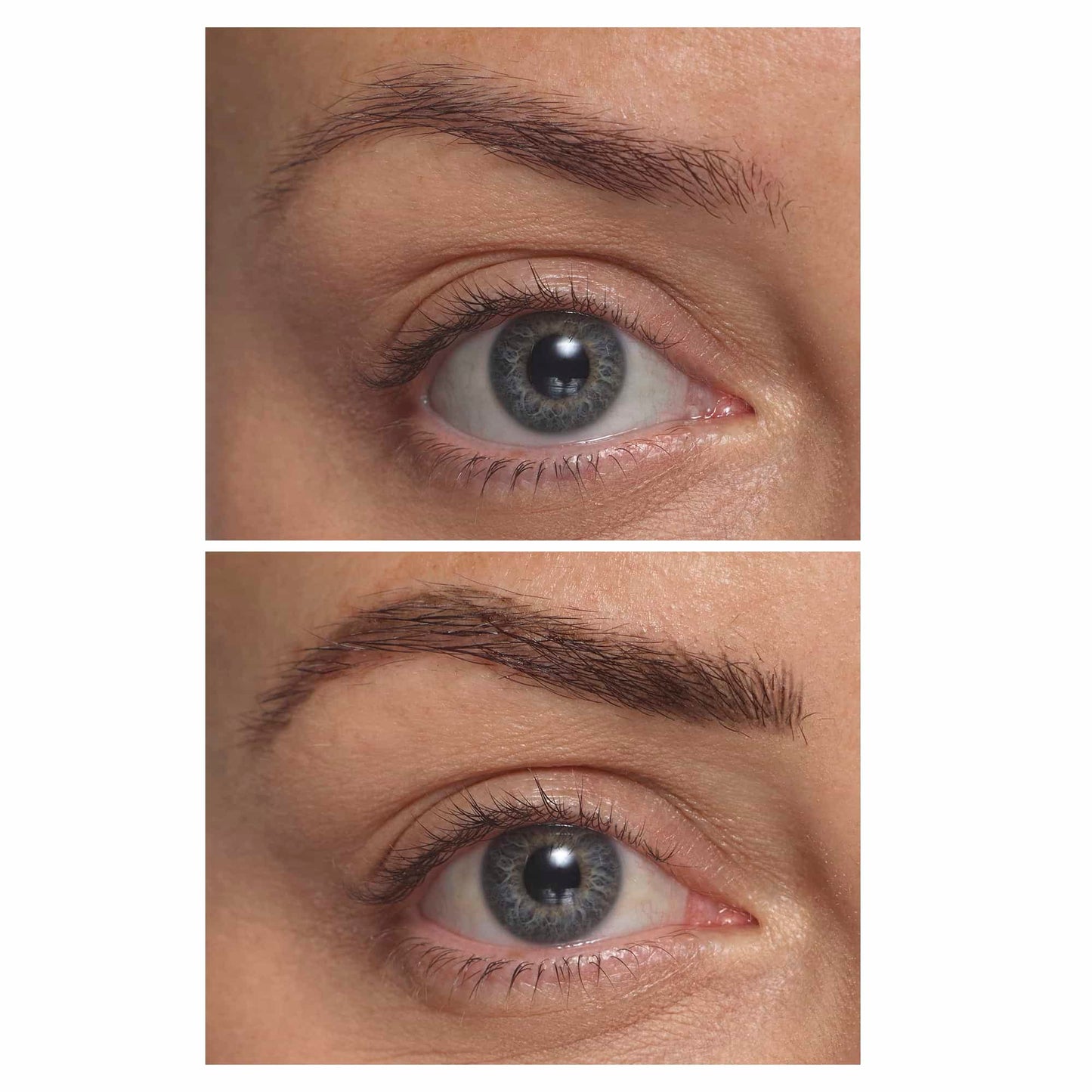 Brow Fine Liner 1.1ml 43 Medium Brown|1.1ml