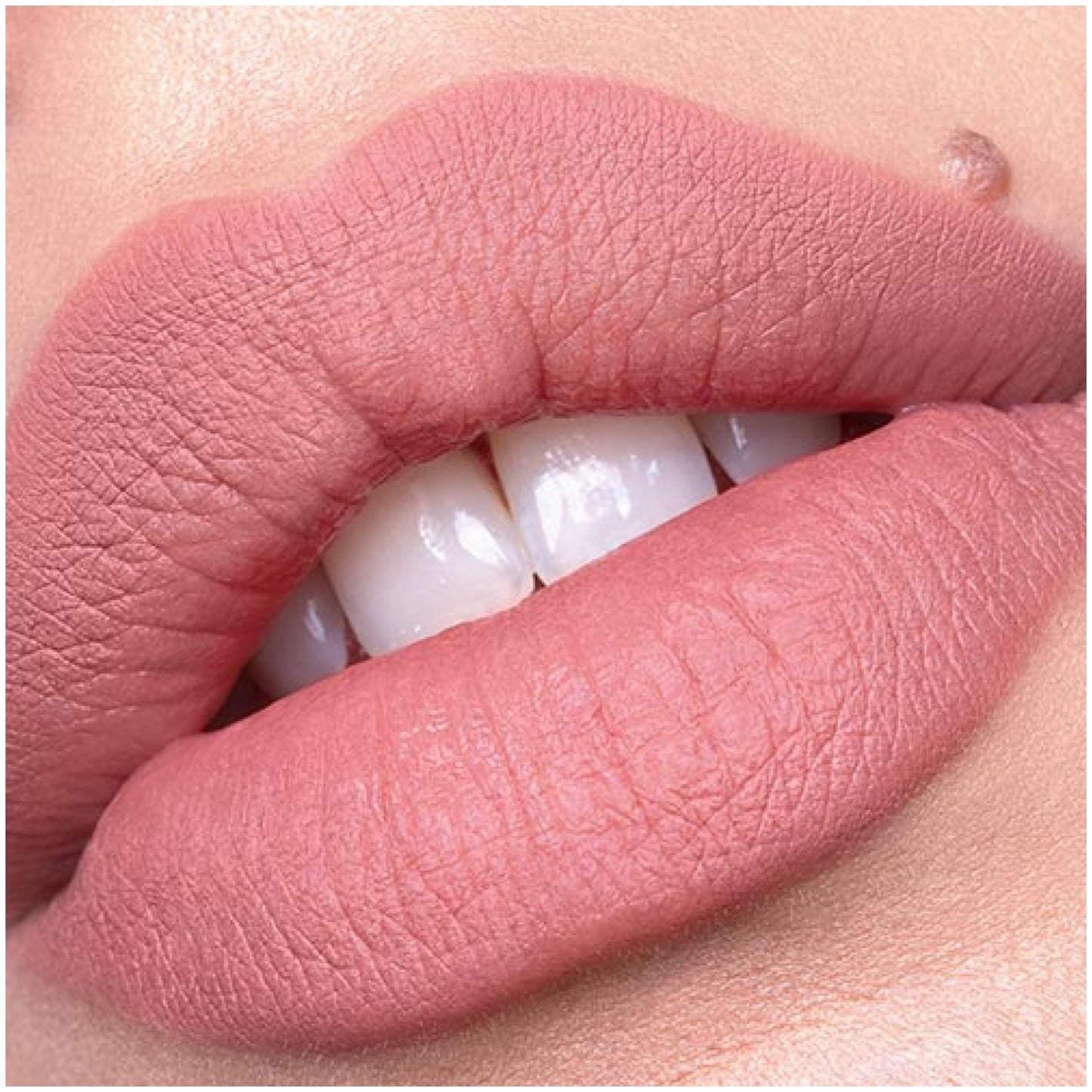 Catrice Plumping Lip Liner 5g Understated Chic|5g