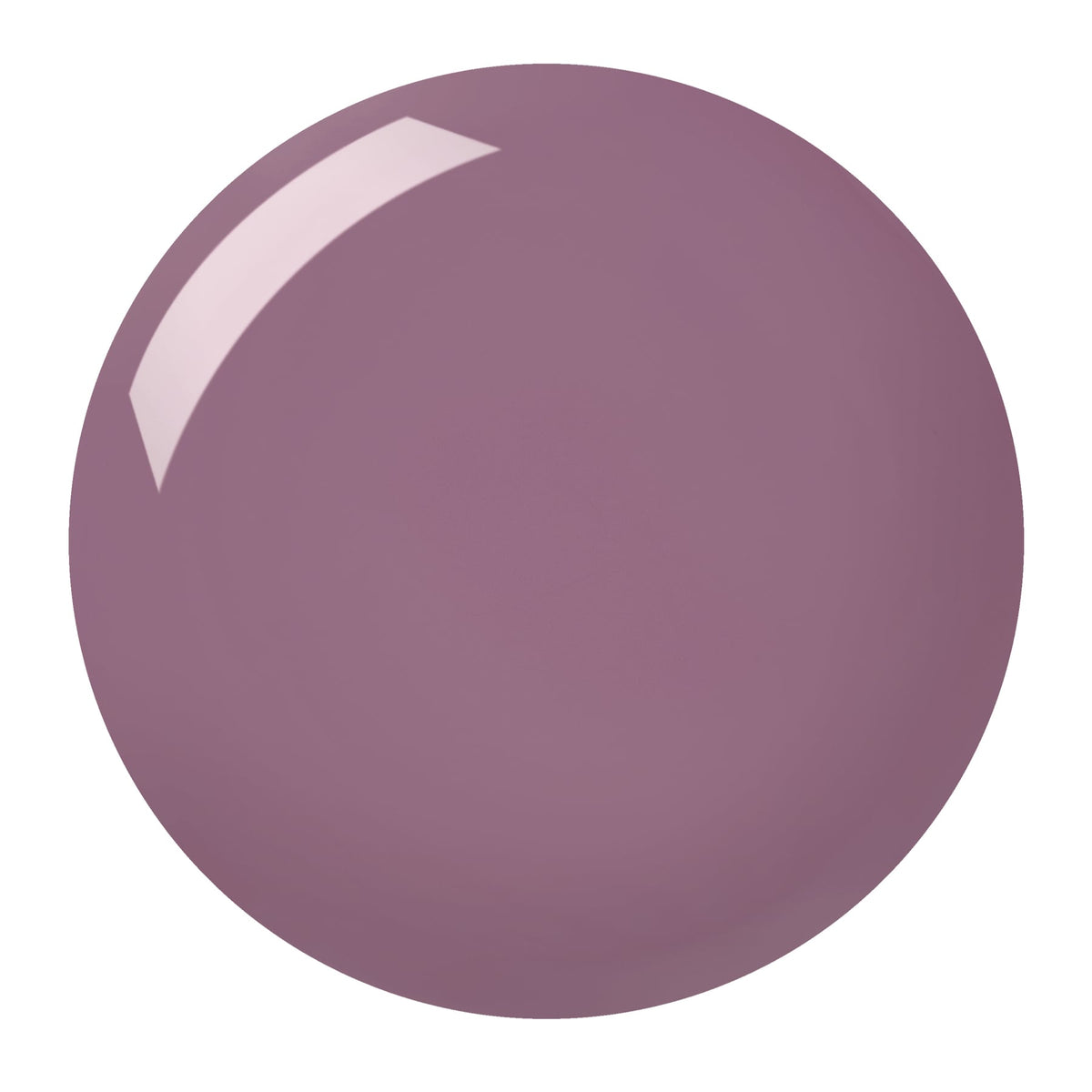 Gelly Hi Shine Nail Paint 10ml Hibiscus|10ml