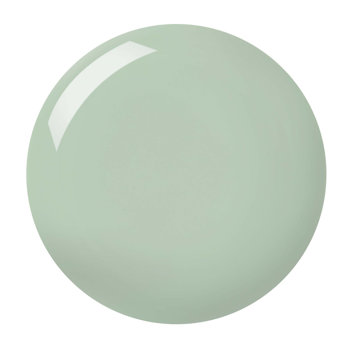 Gelly Hi Shine Nail Paint 10ml Eucalyptus|10ml