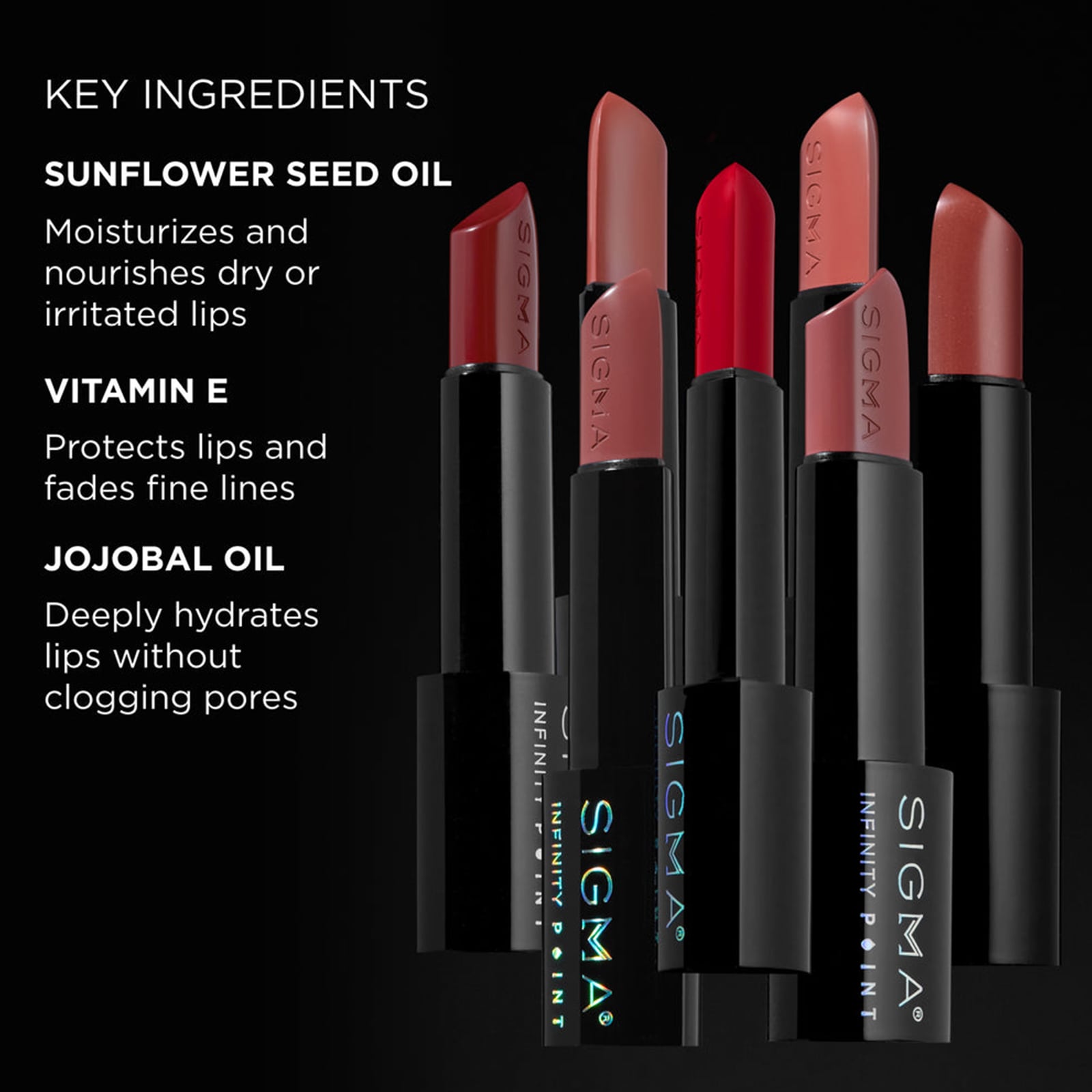 Infinity Point Lipstick 3g Temptation|3g