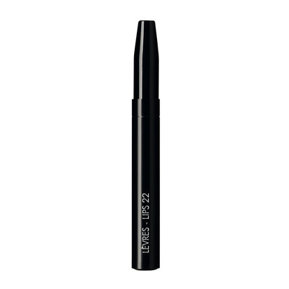 My Lips Brush 22 1pc