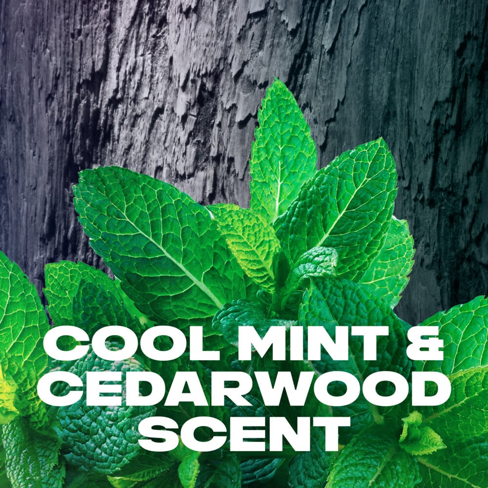 Body Spray Deodorant Black Night 150ml 150ml