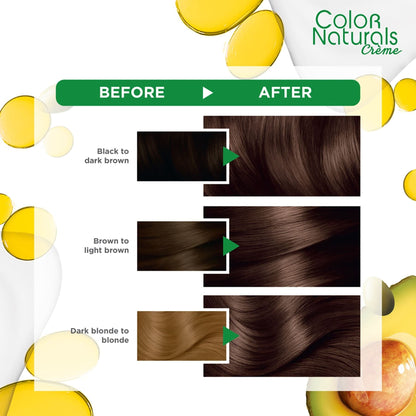 Colour Naturals Permanent Hair Colour 60ml 5.0 Light Brown