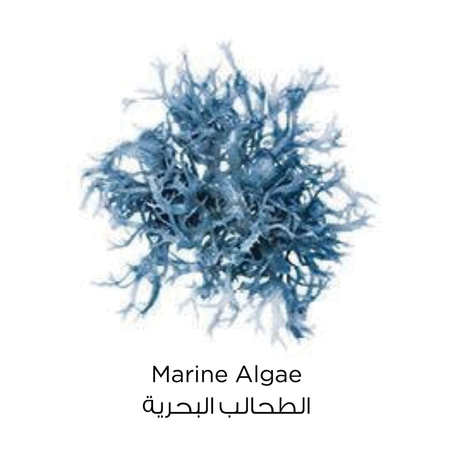 Pure Clay Blue Face Mask Marine Algae 50ml 50ml