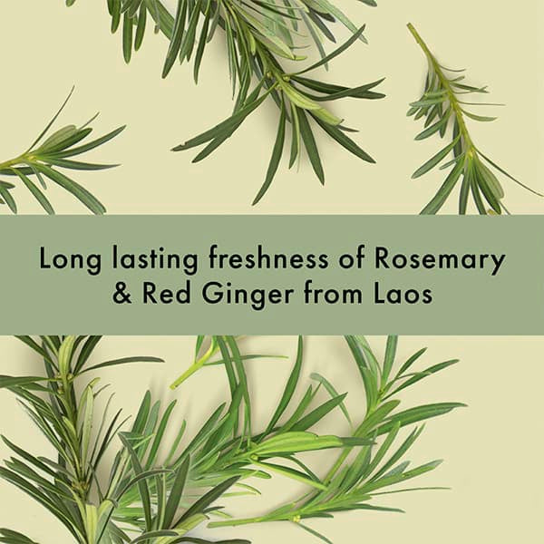 Radical Freshness Toothpaste Rosemary & Red Ginger 75ml 75ml