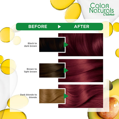 Colour Naturals Permanent Hair Colour 60ml 6.60 Fiery Pure Red