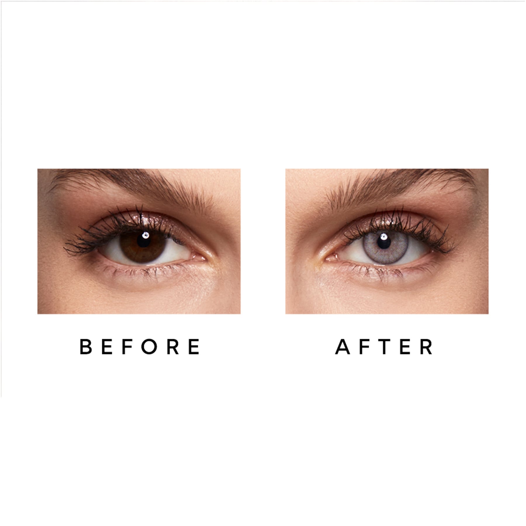 Colour Contact Lenses 6 Months Pearl