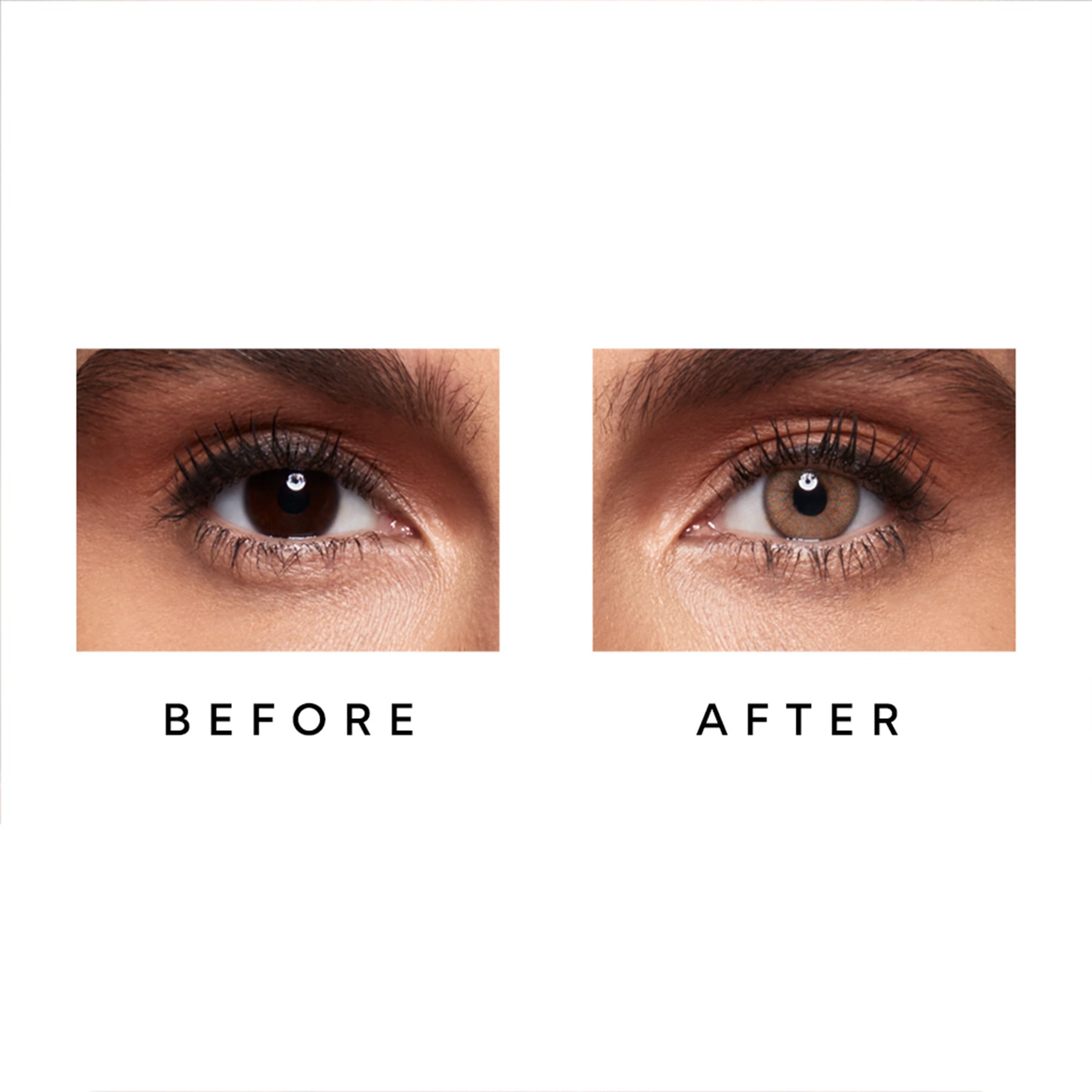 Colour Contact Lenses 6 Months Sandstone