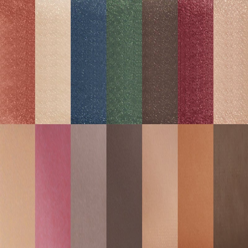 Color Burst Eyeshadow Palette 14 shades Burst Palette|11.2g