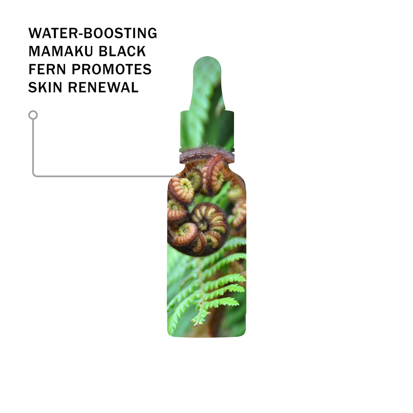 Hosanna H2O Intensive Skin Plumping Serum 30ml 30ml