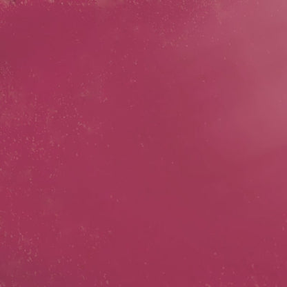 Active All Day Wear Lipstick 1.6g 12 Hot Rose|1.6g