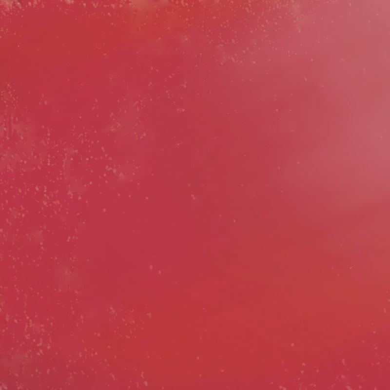 Active All Day Wear Lipstick 1.6g 16 Coral Love|1.6g