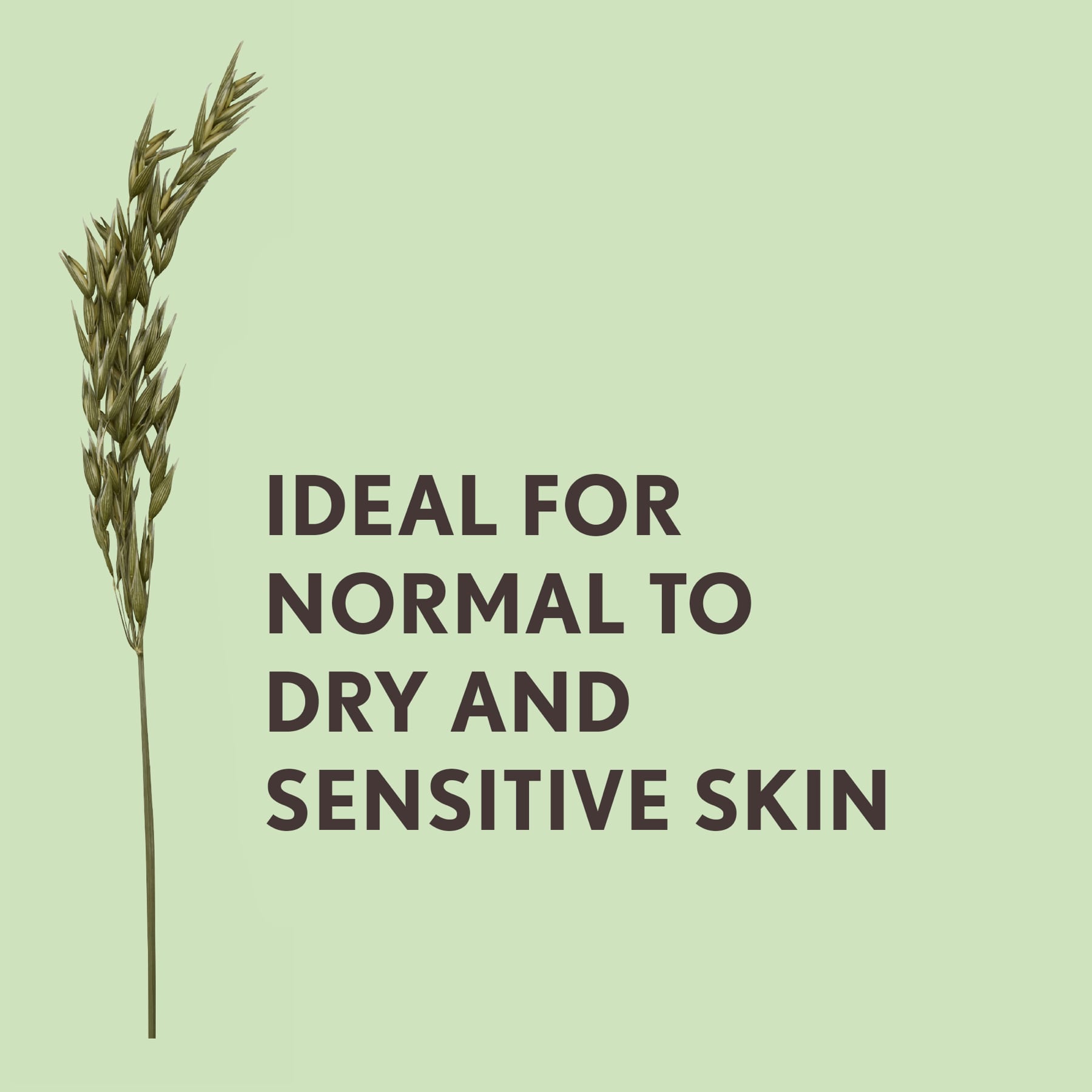 Daily Moisturising Body Wash 500ml 500ml